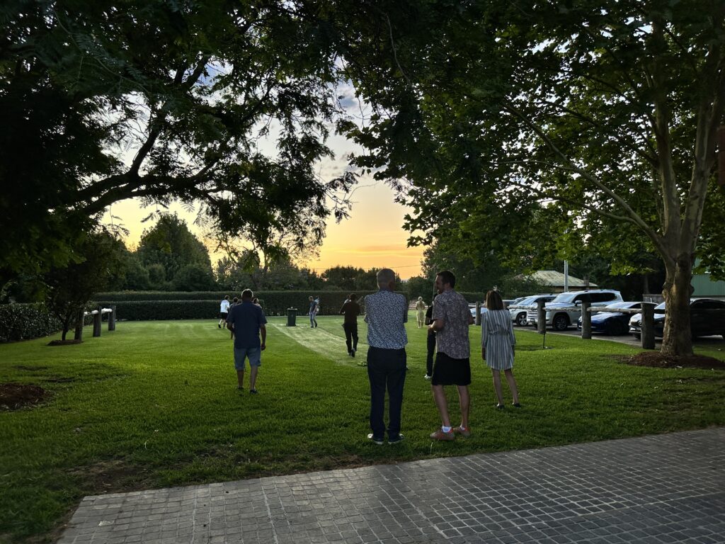 Farm Property Cricket Game